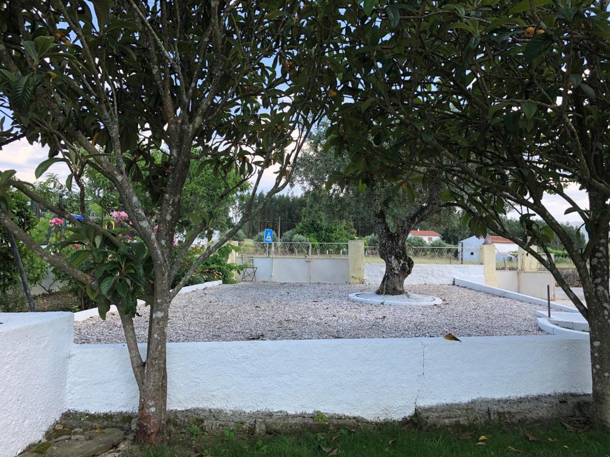 Apartament A Casa Amarela Pinheiro de Coja Zewnętrze zdjęcie