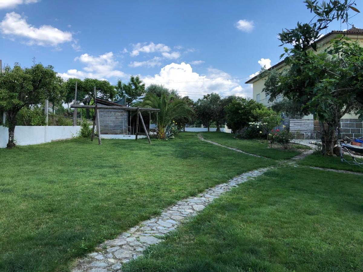Apartament A Casa Amarela Pinheiro de Coja Zewnętrze zdjęcie