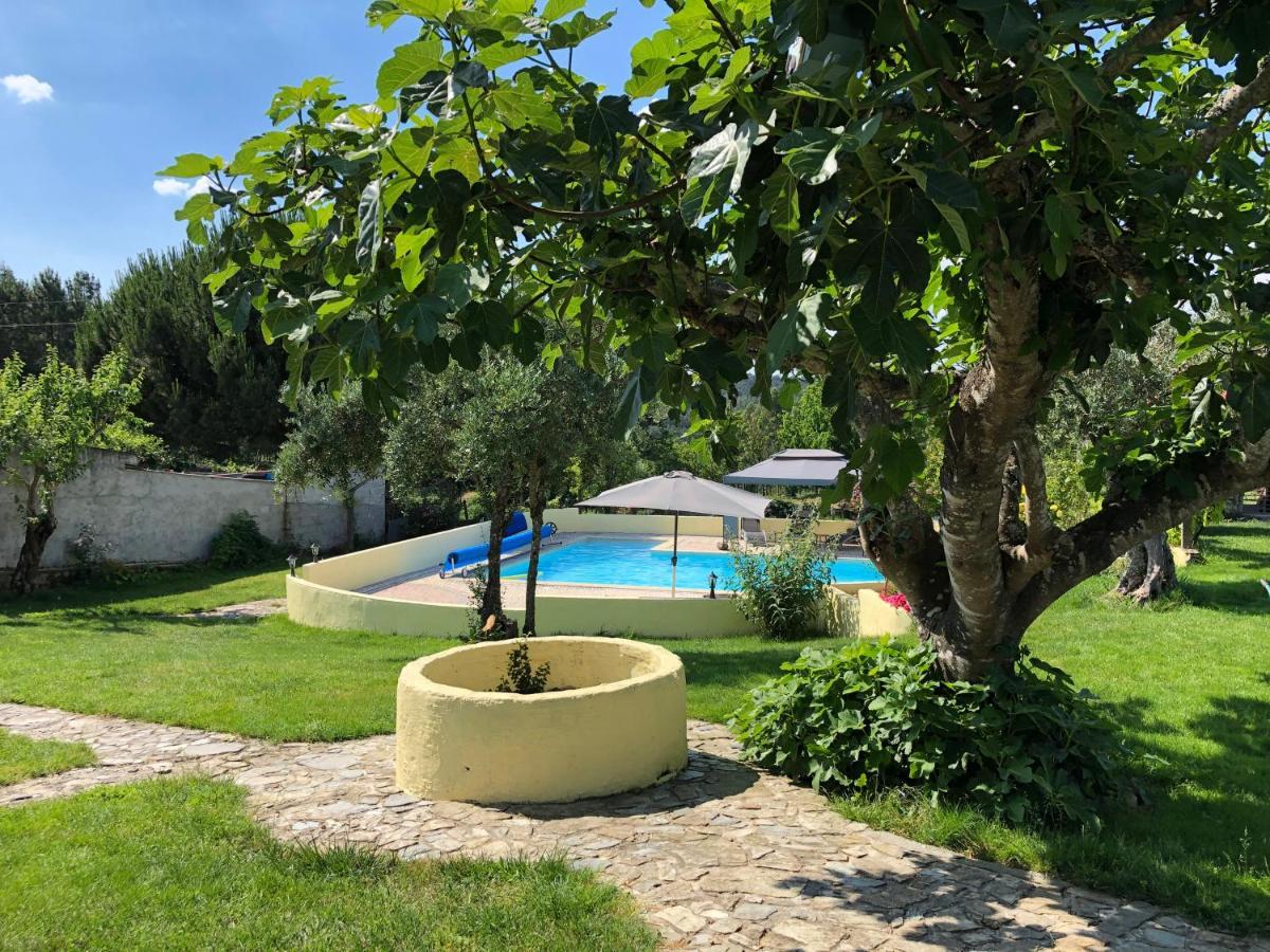 Apartament A Casa Amarela Pinheiro de Coja Zewnętrze zdjęcie