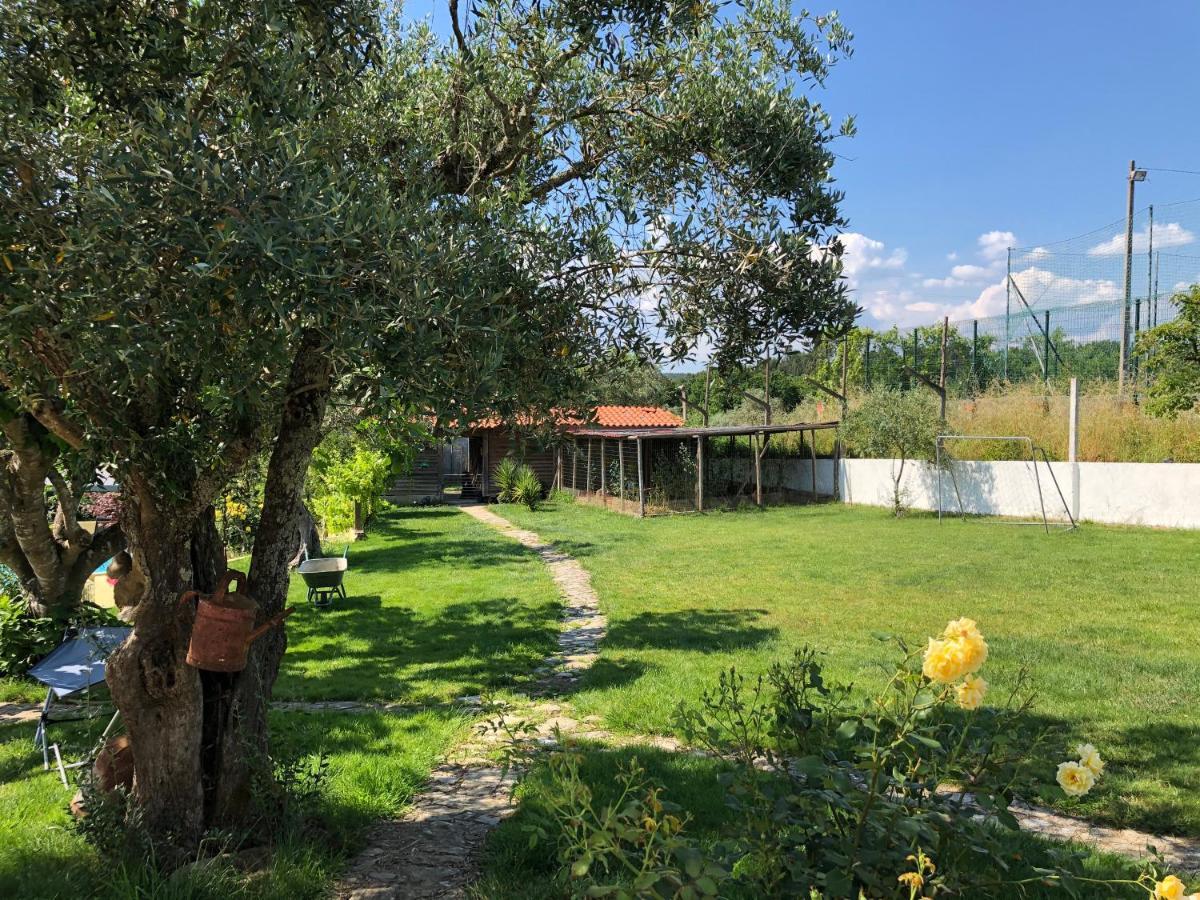 Apartament A Casa Amarela Pinheiro de Coja Zewnętrze zdjęcie